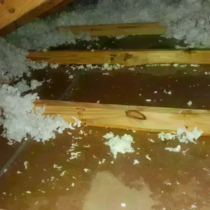 Attic Water Damage in East Longmeadow, MA